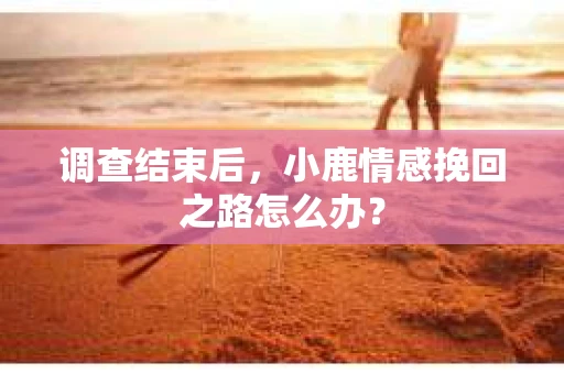 调查结束后，小鹿情感挽回之路怎么办？