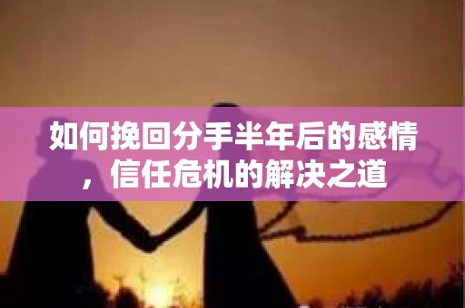 如何挽回分手半年后的感情，信任危机的解决之道