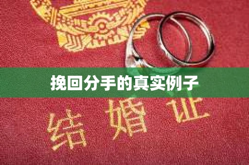 挽回分手的真实例子