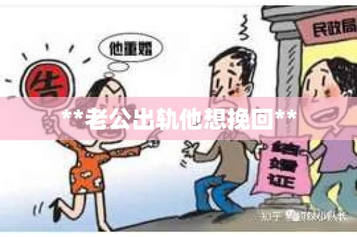 **老公出轨他想挽回**