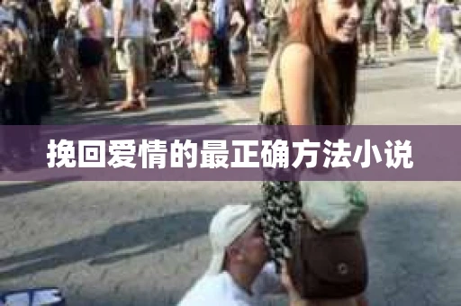 挽回爱情的最正确方法小说