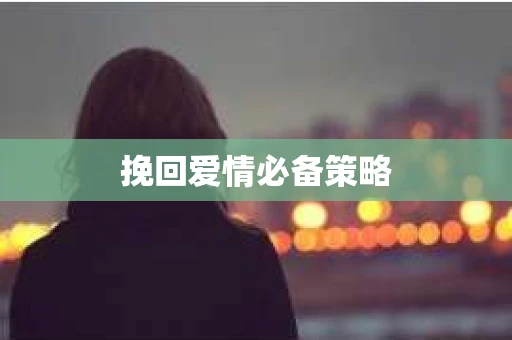 挽回爱情必备策略