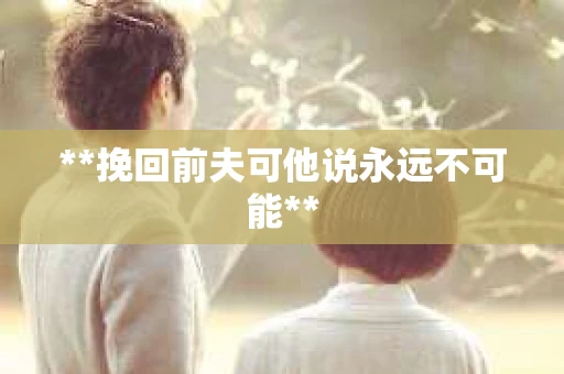 **挽回前夫可他说永远不可能**