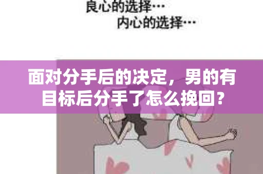 面对分手后的决定，男的有目标后分手了怎么挽回？