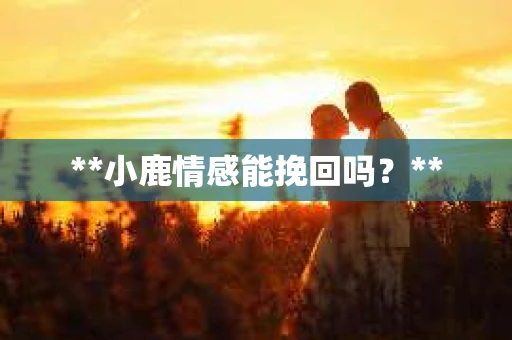 **小鹿情感能挽回吗？**