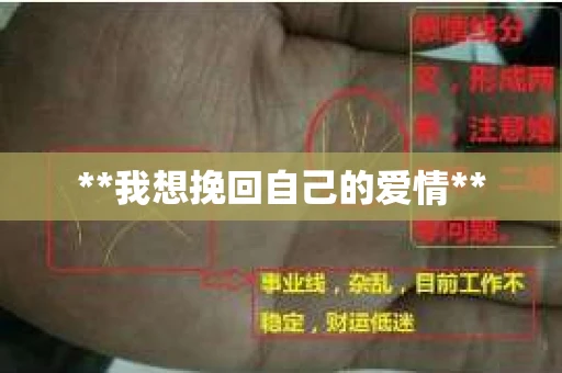 **我想挽回自己的爱情**