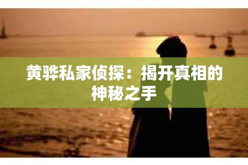 黄骅私家侦探：揭开真相的神秘之手
