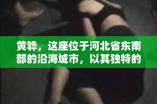 黄骅，这座位于河北省东南部的沿海城市，以其独特的地理位置和丰富的历史文化而闻名。然而，在这座城市中，还有一群人，他们以另一种方式默默守护着社会的公平与正义——私家侦探。今天，我们就来聊聊黄骅的私家侦探，看看他们是如何在这个城市中发挥作用的。