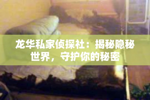 龙华私家侦探社：揭秘隐秘世界，守护你的秘密