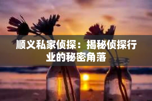 顺义私家侦探：揭秘侦探行业的秘密角落