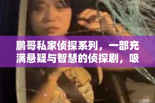 鹏哥私家侦探系列，一部充满悬疑与智慧的侦探剧，吸引了无数观众的眼球。今天，就让我带你走进这个充满神秘色彩的侦探世界，一起在线观看鹏哥私家侦探系列，感受那扣人心弦的故事情节。