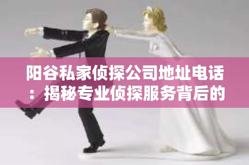 阳谷私家侦探公司地址电话：揭秘专业侦探服务背后的故事