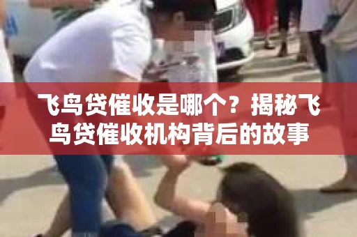 飞鸟贷催收是哪个？揭秘飞鸟贷催收机构背后的故事