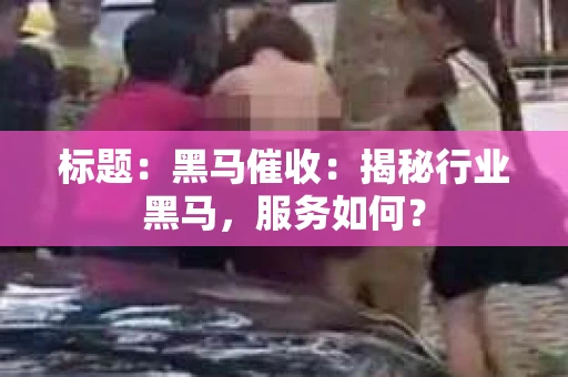 标题：黑马催收：揭秘行业黑马，服务如何？
