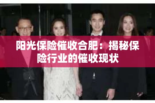 阳光保险催收合肥：揭秘保险行业的催收现状