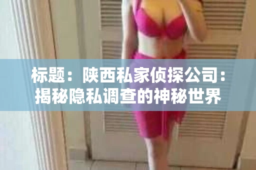 标题：陕西私家侦探公司：揭秘隐私调查的神秘世界