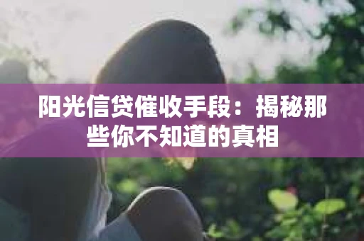 阳光信贷催收手段：揭秘那些你不知道的真相