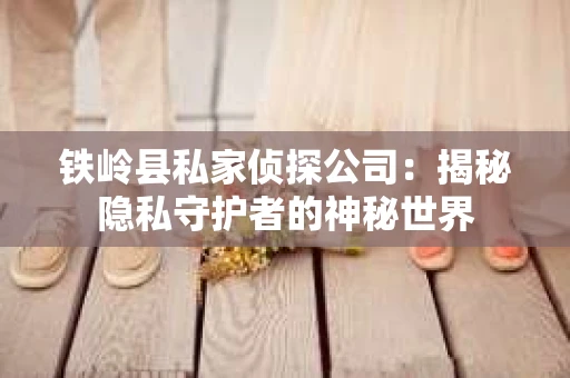 铁岭县私家侦探公司：揭秘隐私守护者的神秘世界