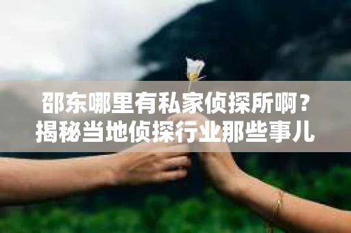 邵东哪里有私家侦探所啊？揭秘当地侦探行业那些事儿