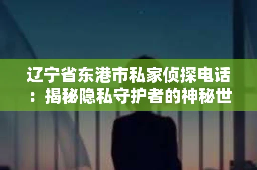 辽宁省东港市私家侦探电话：揭秘隐私守护者的神秘世界