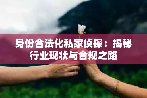 身份合法化私家侦探：揭秘行业现状与合规之路