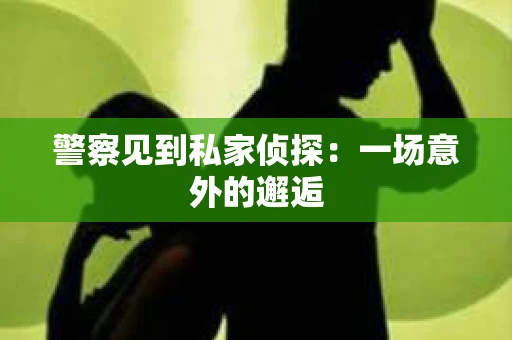 警察见到私家侦探：一场意外的邂逅