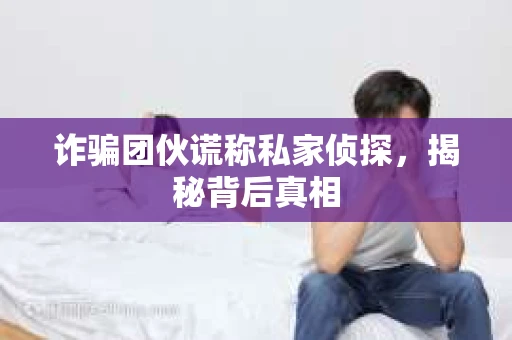 诈骗团伙谎称私家侦探，揭秘背后真相