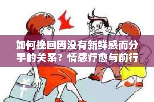 如何挽回因没有新鲜感而分手的关系?情感疗愈与前行计划 如何挽回因没有新鲜感而分手的关系?情感疗愈与前行计划