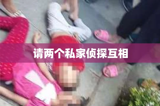 请两个私家侦探互相