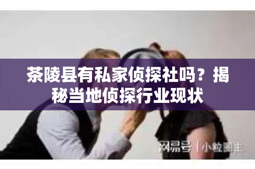 茶陵县有私家侦探社吗？揭秘当地侦探行业现状