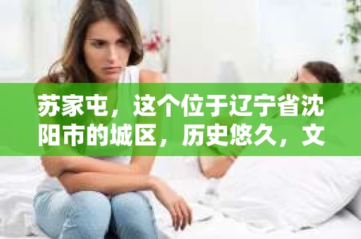 苏家屯，这个位于辽宁省沈阳市的城区，历史悠久，文化底蕴深厚。近年来，随着社会的发展，人们对于私家侦探的需求也逐渐增加。那么，苏家屯有私家侦探吗？今天，我们就来聊聊这个话题。