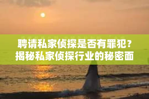 聘请私家侦探是否有罪犯？揭秘私家侦探行业的秘密面纱
