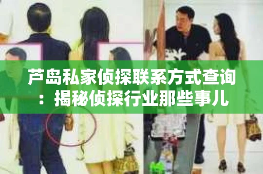 芦岛私家侦探联系方式查询：揭秘侦探行业那些事儿