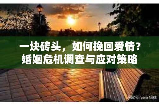 一块砖头,如何挽回爱情?婚姻危机调查与应对策略 一块砖头,如何挽回爱情?婚姻危机调查与应对策略
