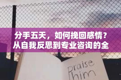 分手五天，如何挽回感情？从自我反思到专业咨询的全面解决方案