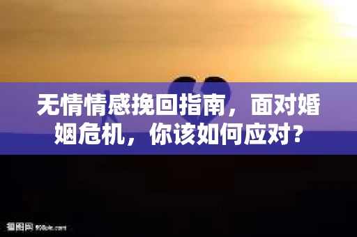 无情情感挽回指南，面对婚姻危机，你该如何应对？
