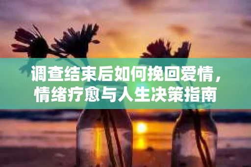 调查结束后如何挽回爱情，情绪疗愈与人生决策指南