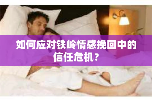 如何应对铁岭情感挽回中的信任危机？