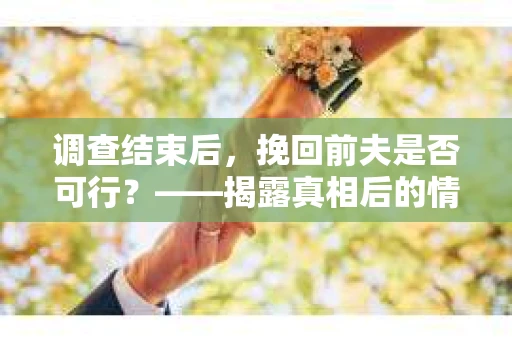 调查结束后，挽回前夫是否可行？——揭露真相后的情感疗愈与人生决策