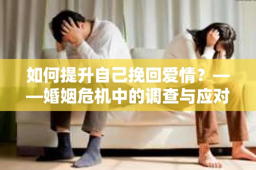 如何提升自己挽回爱情？——婚姻危机中的调查与应对策略