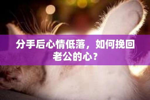 分手后心情低落，如何挽回老公的心？
